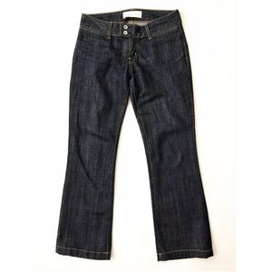 Paper Jeans Petite Bootcut Premium Denim